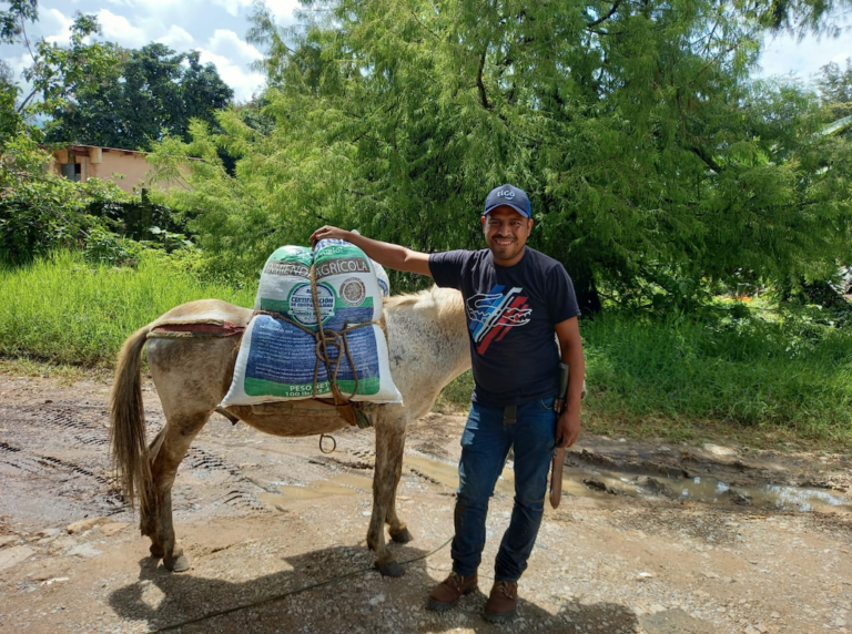 WRfnP7hjTsGDTVzAKcg7 Screen Shot 2021 07 19 at 1.40.59 PM 768x572