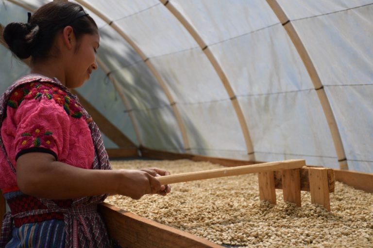 cRjHkjaSSXqruhIRwchi thumbnail GTE 6995 768x512