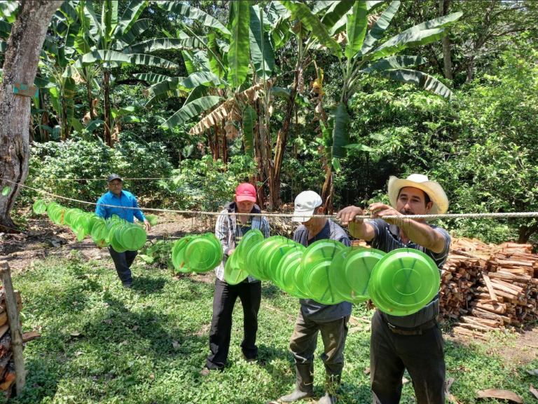 j0N1P7QVG1rfDVgNbAfQ Screen Shot 2021 07 19 at 1.41.28 PM 768x576