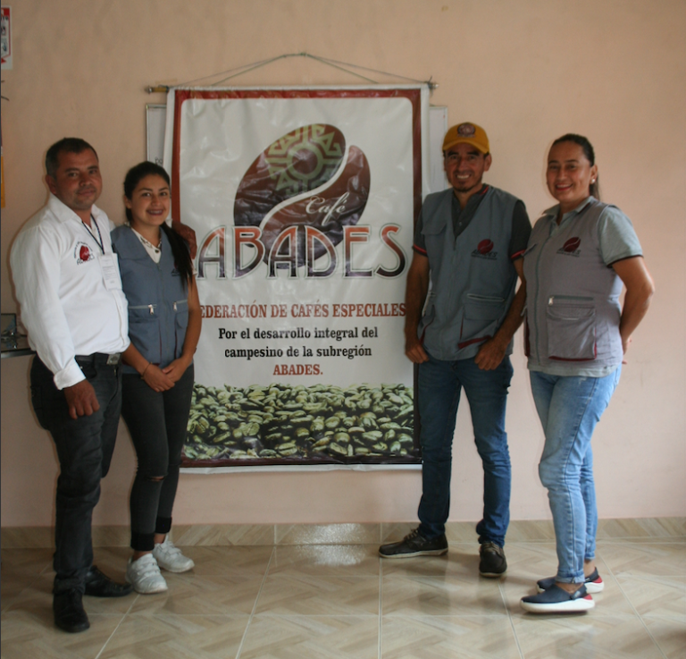 tAMIhxsYSESgVgQ2oOzk Screen Shot 2021 07 22 at 9.01.00 AM 768x737