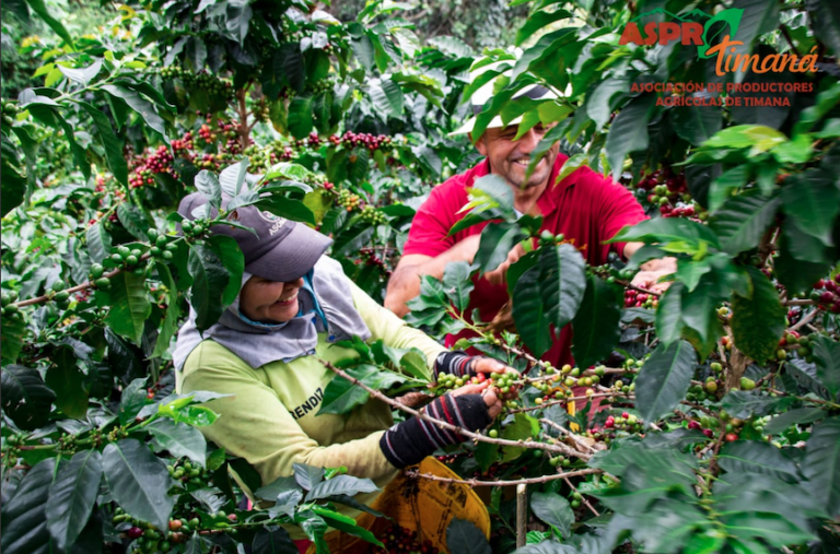 wKx0nXv7RYGtD6IgujEY Screen Shot 2021 07 19 at 1.07.05 PM 768x507