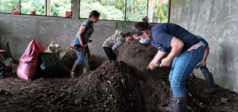 xnYQ3Z1QdSGrZf6d9yLQ 5c482173 c700 43ee 819a 51304cfb5864 1 768x363