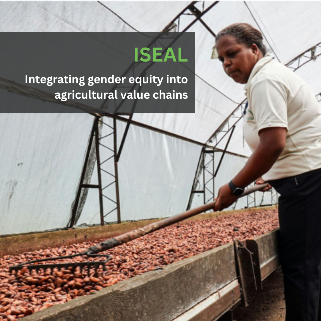Iseal Intergrating Gender Equity Case Study Equal Origins