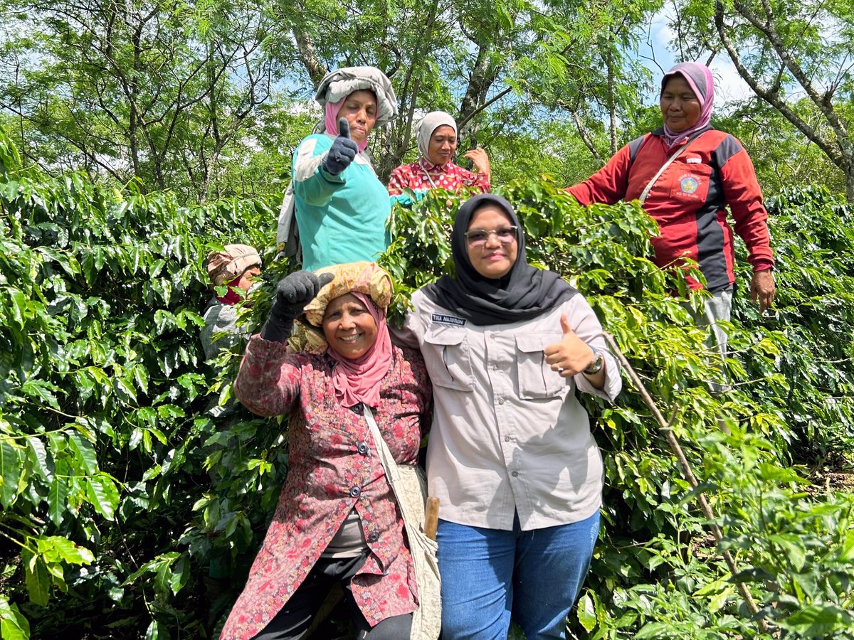 Bu Tika and a group of women coffee pickers giving a thumbs-up among the coffee trees