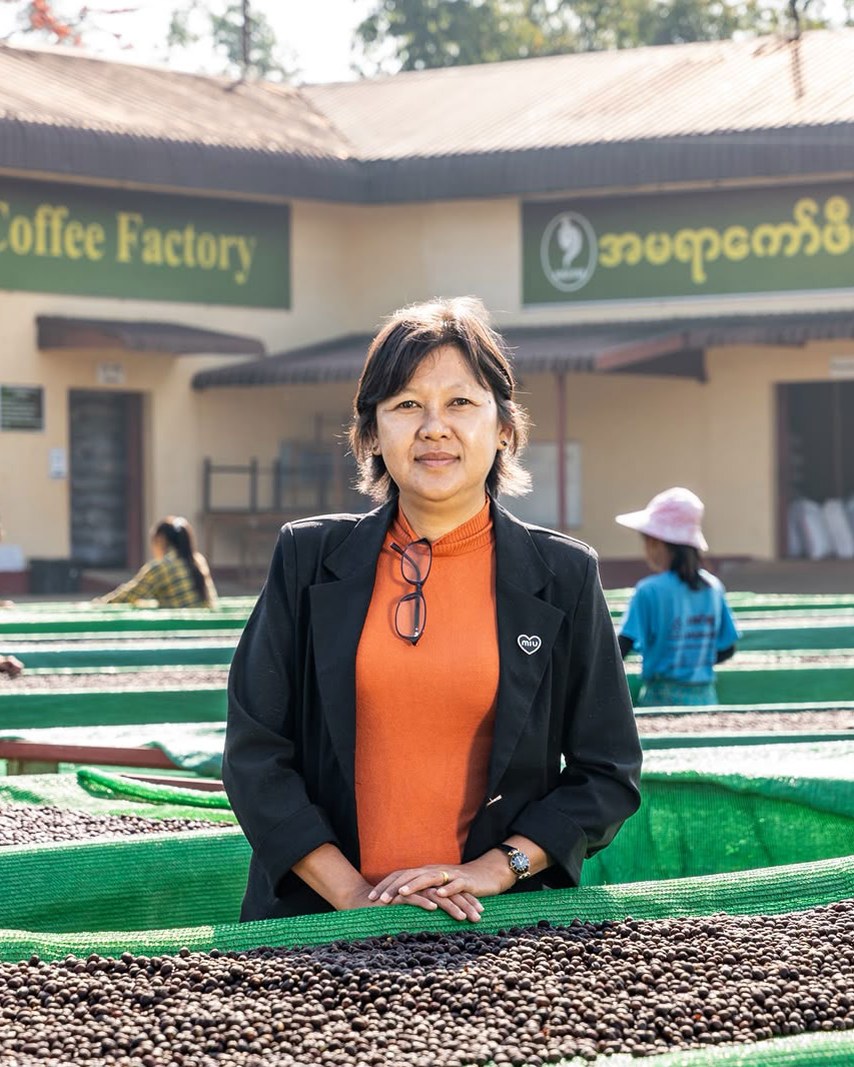 Su Su Aung standing at the drying beds of Amayar Coffee Factory in Ywangan, Myanmar